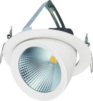 Выдвижной светильник DW2207 30W 2700K (белый)