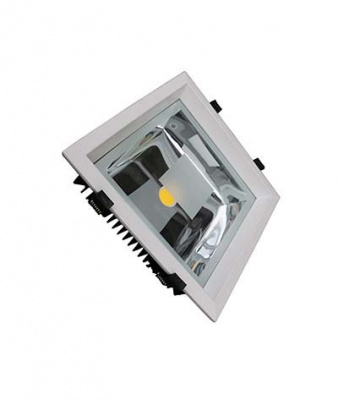 Светильник Downlight DW2024