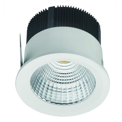 Светильник Downlight DL ACTIVE